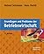 Grundlagen und Probleme der Betriebswirtschaft