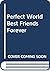 Perfect World Best Friends Forever