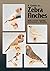 A Guide to Zebra Finches: Their Colour Varieties, Management & Breeding