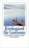 Kierkegaard für G...