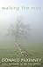 Walking the mist: Celtic sp...