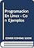 Programacion En Linux - Con Ejemplos (Spanish Edition)