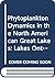 Phytoplankton dynamics in the North American Great Lakes (Ecovision world monograph series) (Vol 1)