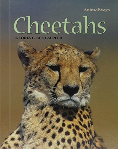 Cheetahs (Animal Ways)