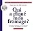 QUI A PIQUE MON FROMAGE