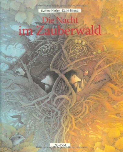 Die Nacht im Zauberwald (Hardcover)