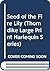 Seed of the Fire Lily by Angela Devine