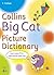 Collins Big Cat Picture Dictionary (Collins Primary Dictionaries)