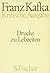 Kritische Ausgabe der Werke von Franz Kafka: Drucke zu Lebzeiten. Schriften, Tagebücher, Briefe: 2 Bde. (Kritische Ausgabe)