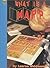 What Is a Map? (Yellow Umbrella Books)