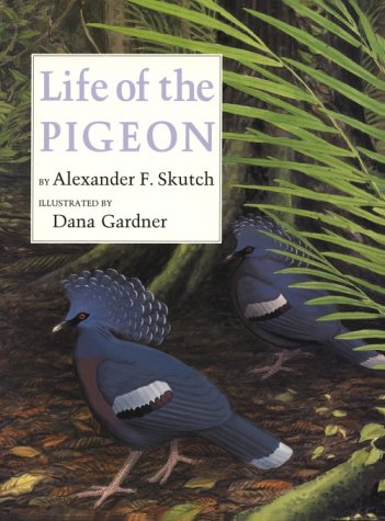 Life of the Pigeon (Hardcover)