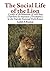 The Social Life of the Lion: A study of the behaviour of wild lions (Panthera leo massaica [Newmann]) in the Nairobi National Park, Kenya