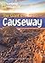 The Giant's Causeway: Footprint Reading Library 800