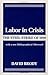 Labor in Crisis: The Steel Strike of 1919 (Critical Periods of History.)