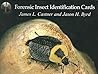 Forensic Insect Identification Cards Forensic Insect Identification Cards