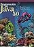 Programaci}n en Java 5.0