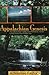 Appalachian Genesis: The Clinch River Valley from Prehistoric Times to the End of the Frontier Era