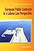 European public contracts i...