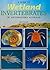 A Guide to Wetland Inverteb...
