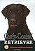 Curly-Coated Retrievers: A Complete and Reliable Handbook