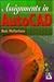 Assignments in AutoCAD