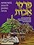 Artscroll Youth Pirkel Avos