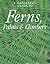 A Gardener's Guide to Ferns, Palms & Climbers
