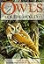 Owls of the World