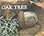 Oak Tree