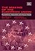 The Making of the European Union: Foundations, Institutions and Future Trends