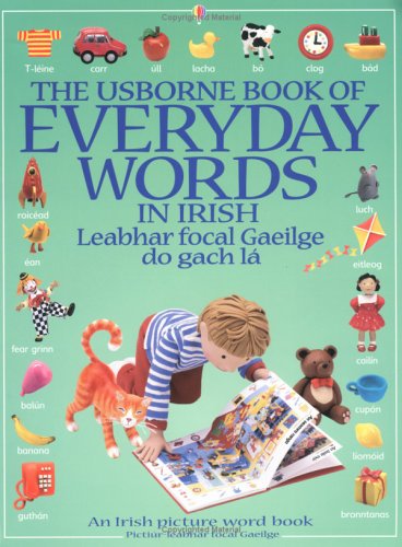 The Usborne Book of Everyday Words in Irish (Paperback)