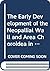 Early Development Of Neopallial Wall & Area Choroidea In Fetal Rats: LIGHT AND ELECTRON MICROSCOPIC STUDY (Advances in Anatomy, Embryology and Cell Biology)