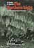 The Northern Light: From Mythology to Space Research