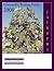 Commodity Trading Guide 2008