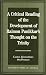 A Critical Reading of the Development of Raimon Panikkar's Thought on the Trinity