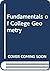 Fundamentals of College Geometry, 2nd Edition