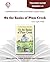 On the Banks of Plum Creek - Teacher Guide by Novel Units