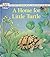 A Home for Little Turtle by Ariane Chottin