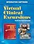 Virtual Clinical Excursions for Psychiatric Mental Health Nursing (With CD-ROM)
