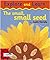 The Small Small Seed