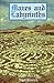 Mazes and Labyrinths