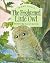The Frightened Little Owl