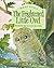 The Frightened Little Owl