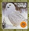 The Wonder of Owls by Amy Bauman