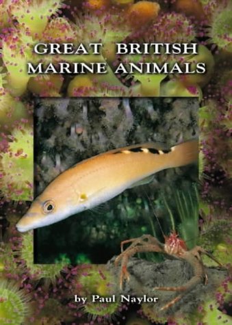 Great British Marine Animals (Paperback)