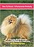 How to Groom a Pomeranian Perfectly by Tammy Sprinkle