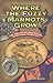 Where the Fuzzy Marmots Grow: The Rollicking Adventures of Historic Troop 511
