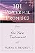 101 Powerful Promises from the New Testament