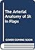 The arterial anatomy of skin flaps