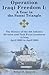 Operation Iraqi Freedom I: A Year in the Sunni Triangle: The History of the 4th Infantry Division and Task Force Ironhorse in Iraq, April 2003 to April 2004